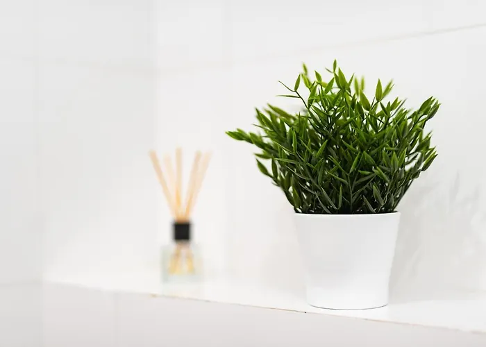 Przytulny Ligota Near Hospitals & Sum *